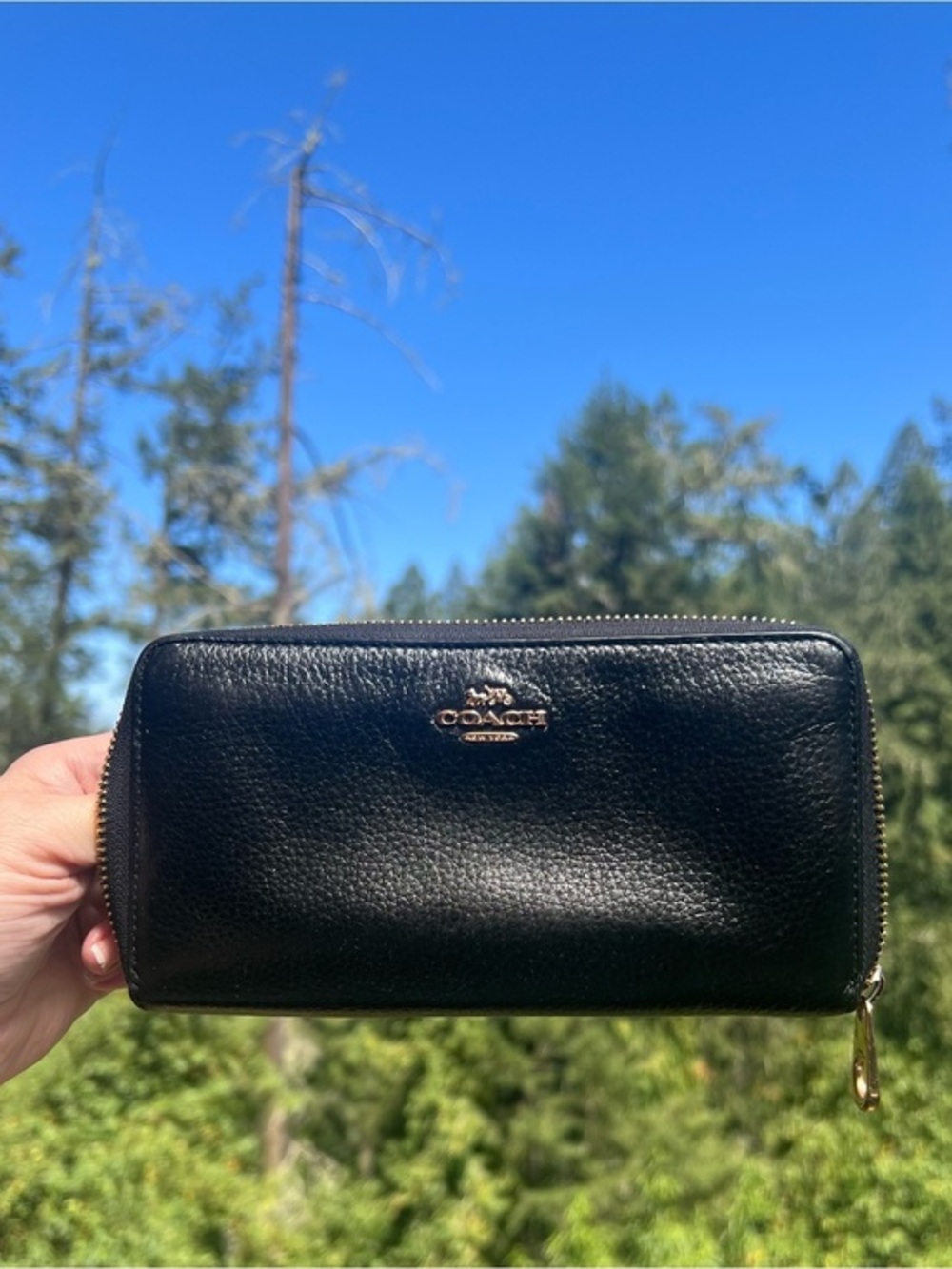 COACH Black Leather Phone Wallet Wristlet with Gold Hardware AUTHENTIC